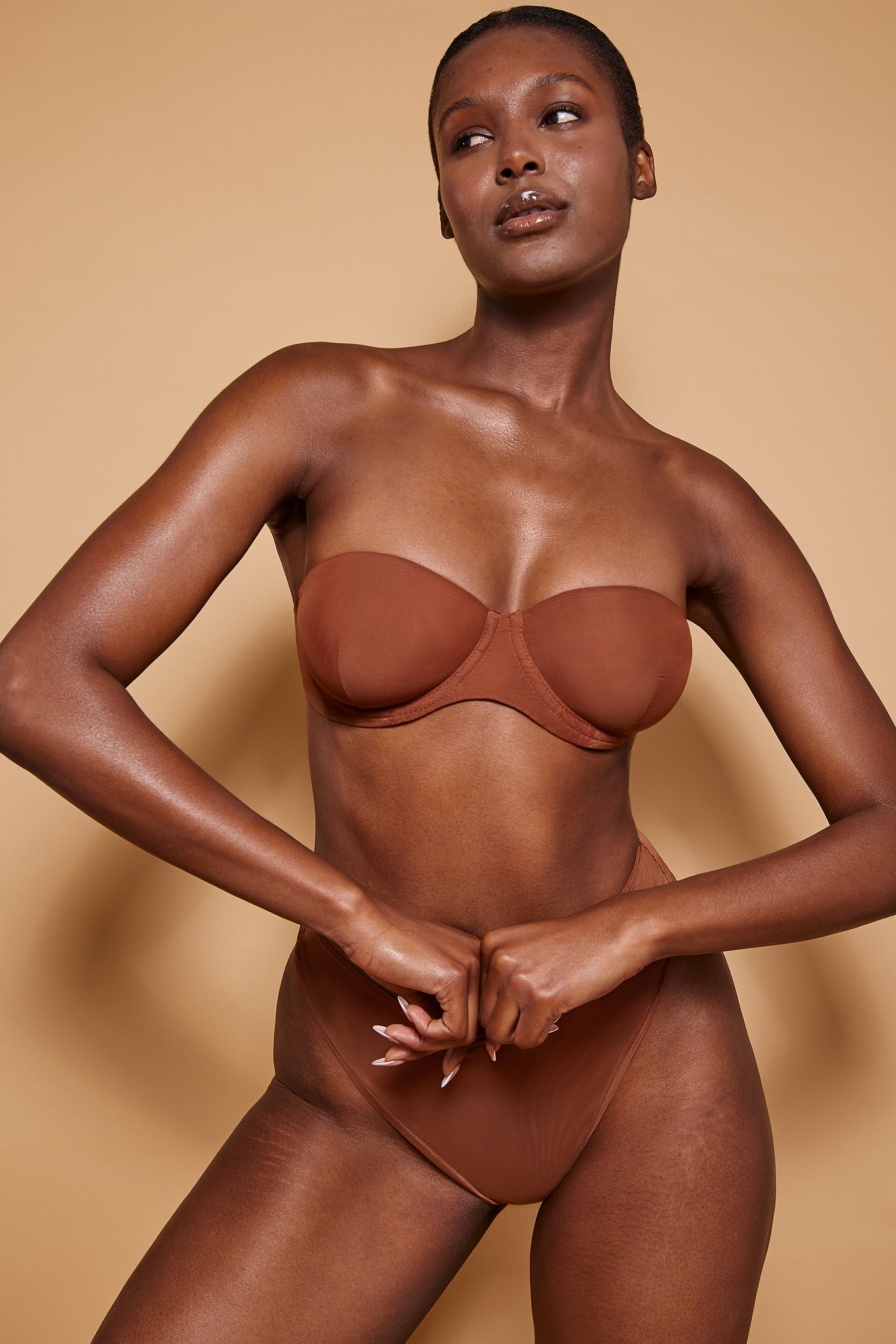 Soft Mesh High Waisted Knicker in Chestnut - 1