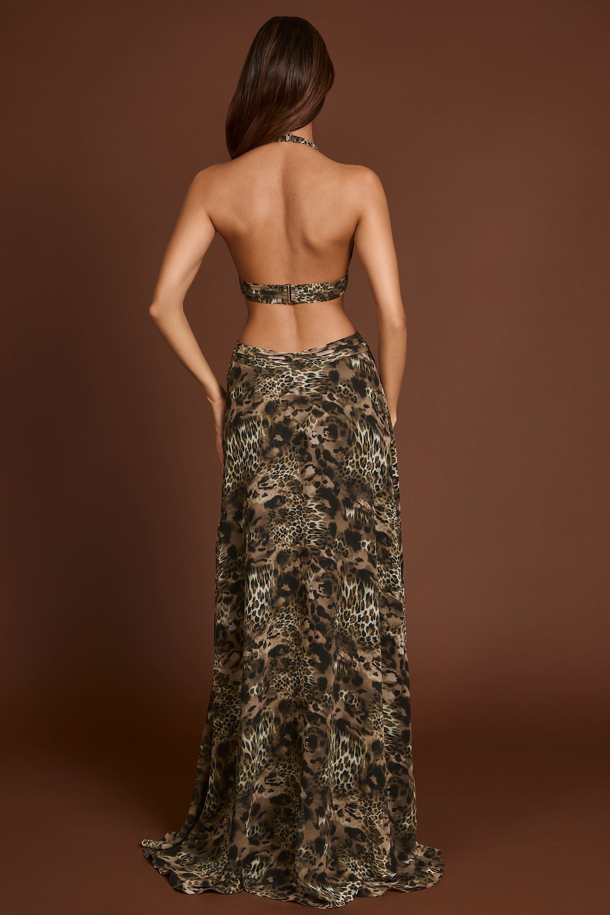 Plunge Cut-out Maxi Gown in Leopard Print - 2